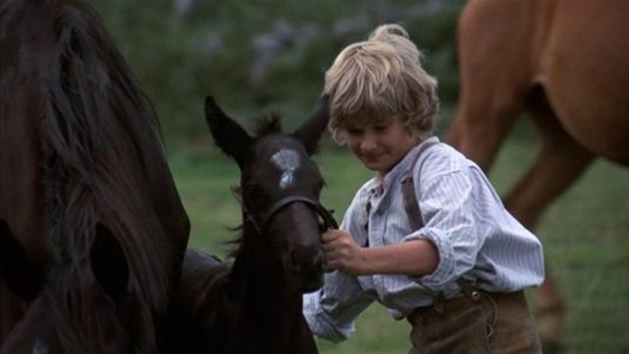  فیلم سینمایی Black Beauty به کارگردانی James Hill