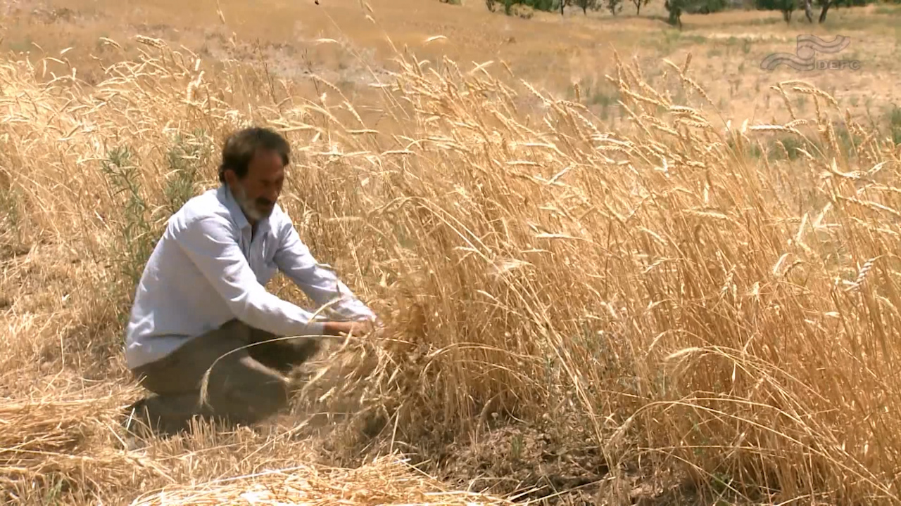  فیلم سینمایی اسب چوبی به کارگردانی مهدی بخشی مقدم