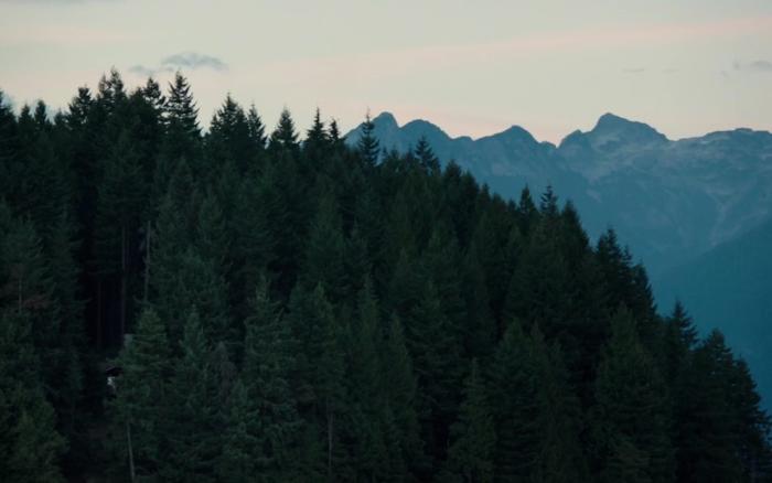  فیلم سینمایی Into the Forest به کارگردانی Patricia Rozema