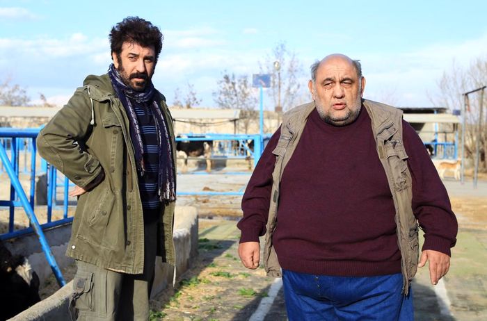 لوون هفتوان در صحنه فیلم سینمایی اژدر به همراه علی انصاریان
