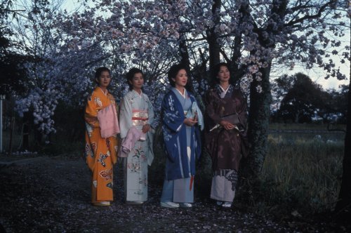  فیلم سینمایی The Makioka Sisters با حضور Yûko Kotegawa، Keiko Kishi، Yoshiko Sakuma و Sayuri Yoshinaga