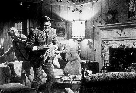 جسیکا تندی در صحنه فیلم سینمایی پرندگان به همراه راد تیلور و تیپی هدرن