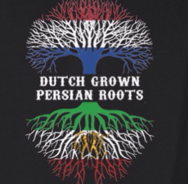  فیلم مستند در جستجوی فریده به کارگردانی آزاده موسوی و کوروش عطائی