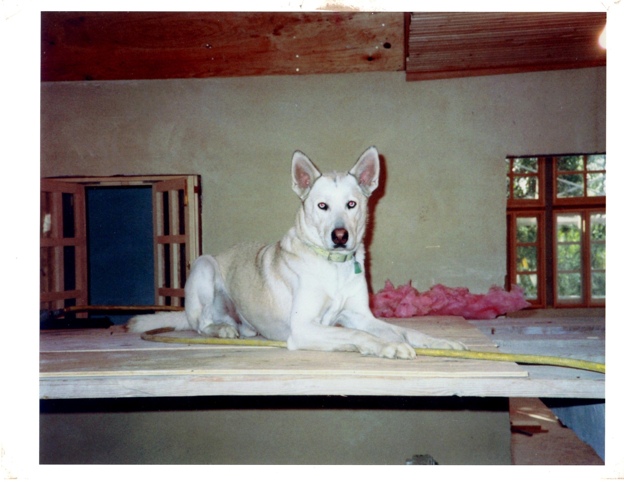  فیلم سینمایی The Garage به کارگردانی Carl Thibault