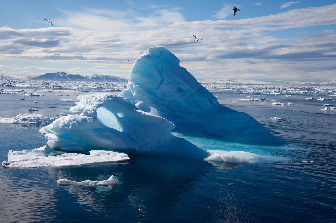  فیلم سینمایی به سمت قطب شمال به کارگردانی Greg MacGillivray