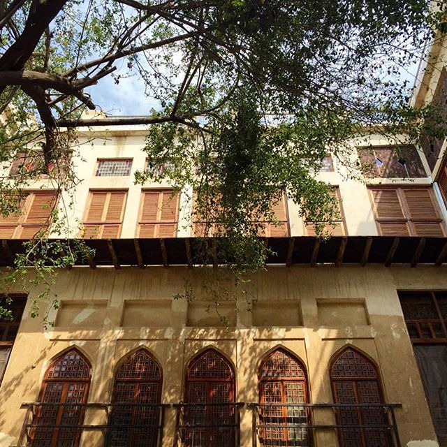 تصویری شخصی از شبنم مقدمی، بازیگر و کارشناس سینما و تلویزیون