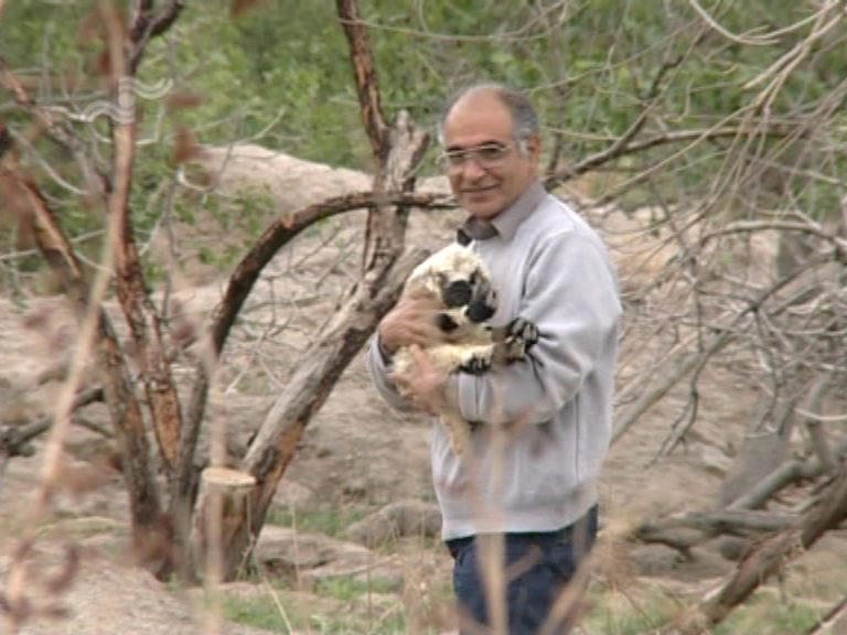  فیلم سینمایی قصه ها به کارگردانی مهدی جعفری