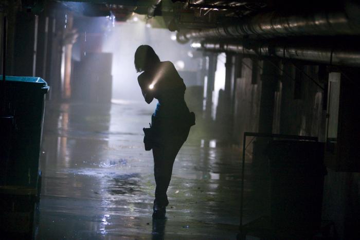  فیلم سینمایی رزیدنت اویل: آخرالزمان (رزیدنت ایول: موعود) با حضور سینا گویلوری