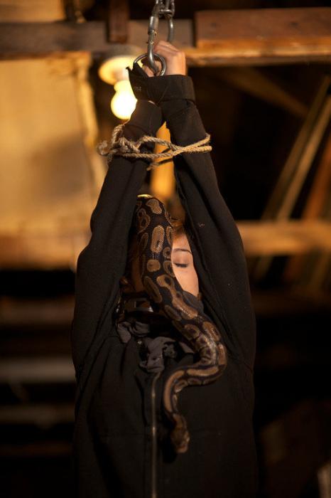  فیلم سینمایی The Legend of DarkHorse County به کارگردانی Shawn Welling