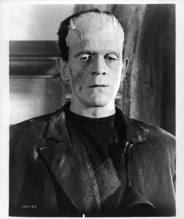  فیلم سینمایی The Bride of Frankenstein با حضور Boris Karloff