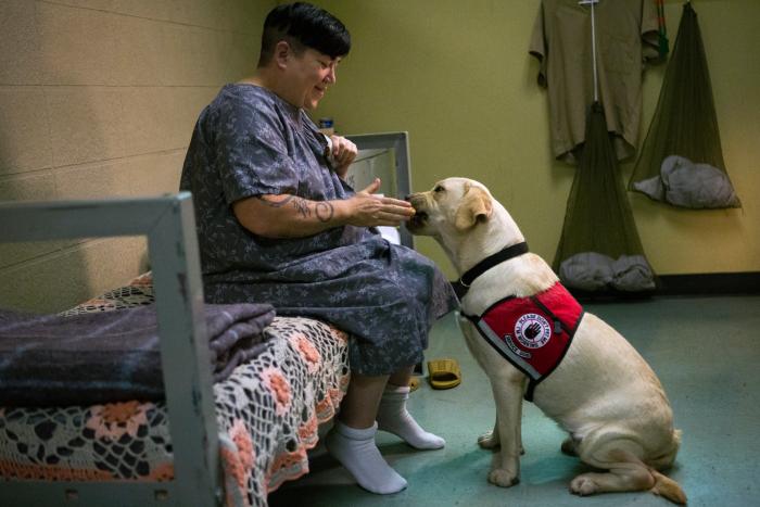 لی دلاریا در صحنه سریال تلویزیونی نارنجی سیاه، جدید است