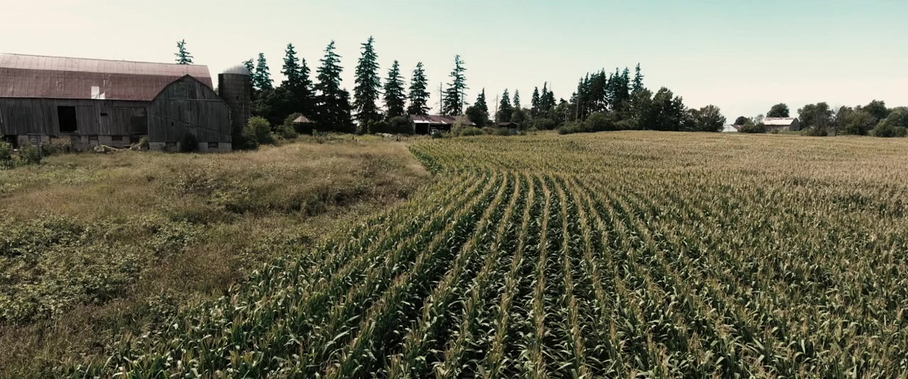  فیلم سینمایی Scarecrows به کارگردانی Stuart Stone