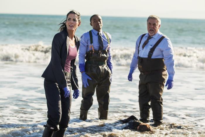 Lee Thompson Young در صحنه سریال تلویزیونی Rizzoli & Isles به همراه بروس مک  گیل و Angie Harmon