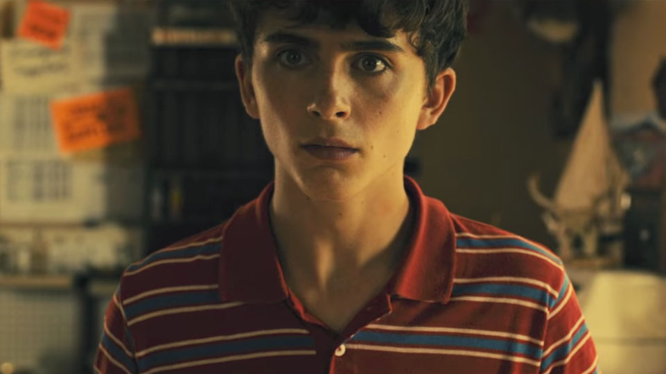 Timothée Chalamet در صحنه فیلم سینمایی Hot Summer Nights