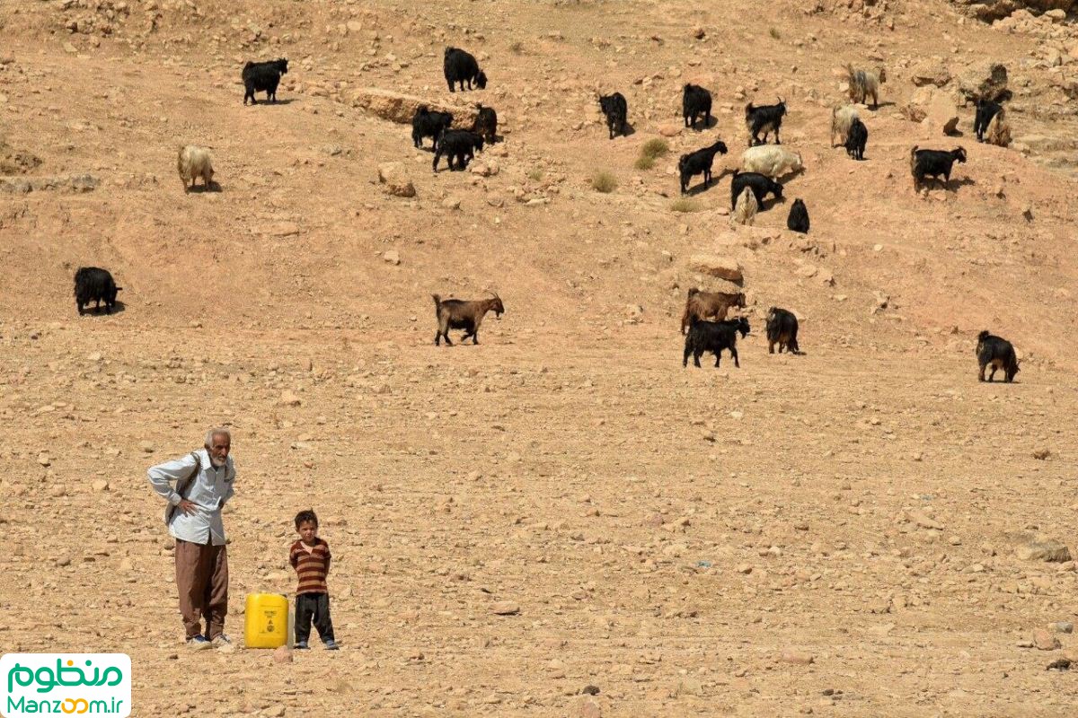  فیلم سینمایی ایرو به کارگردانی 