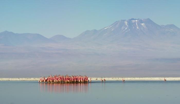  سریال تلویزیونی سیاره زمین 2 به کارگردانی 