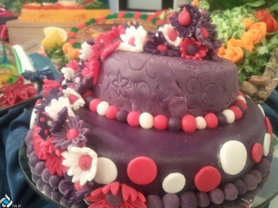  برنامه تلویزیونی به خانه برمیگردیم به کارگردانی ندارد