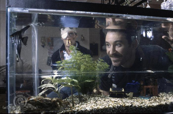  فیلم سینمایی ماهی به نام وندا با حضور کوین کلاین و Michael Palin