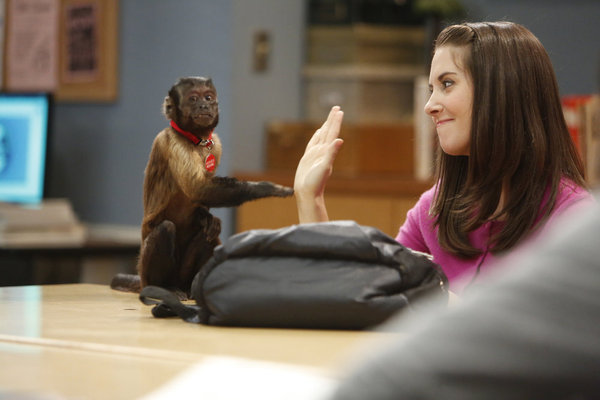 Crystal the Monkey در صحنه سریال تلویزیونی Community به همراه الیسون بری