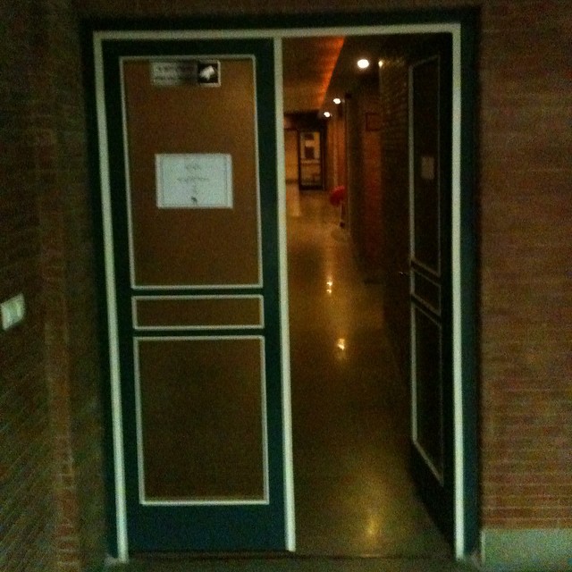 تصویری شخصی از نوید محمدزاده، بازیگر و کارگردان سینما و تلویزیون