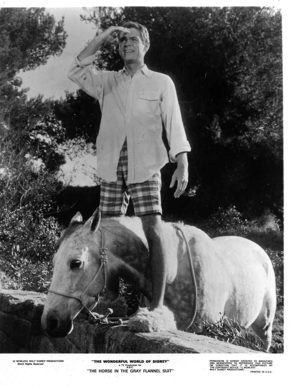  فیلم سینمایی The Horse in the Gray Flannel Suit با حضور Dean Jones