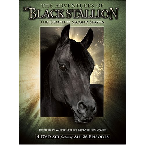  سریال تلویزیونی The New Adventures of the Black Stallion به کارگردانی Bill Corcoran و Paolo Barzman و Alan Simmonds و George Bloomfield و Peter D. Marshall و Mitchell Gabourie و Olivier Descamps و Christian Le Hémonet و Michel Tréguer و Emilio Pacull