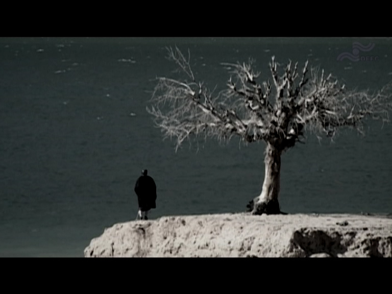  فیلم سینمایی مادرم بلوط به کارگردانی ندارد