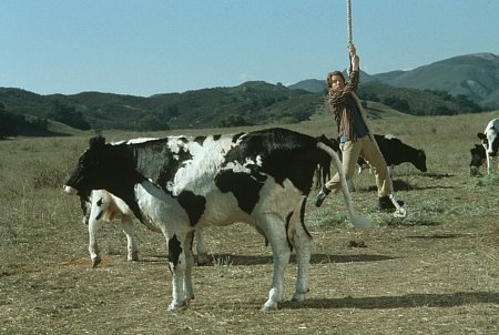  فیلم سینمایی رانندگان دیوانه با حضور ست گرین