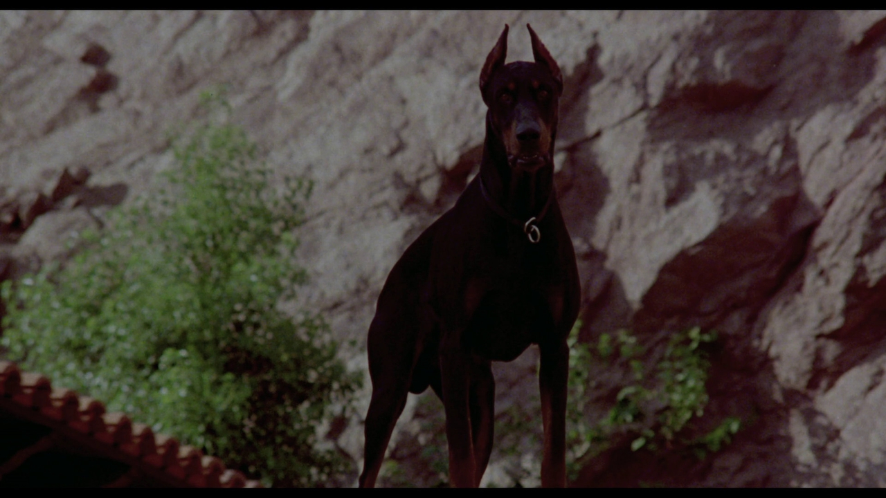  فیلم سینمایی Nightkill به کارگردانی Ted Post