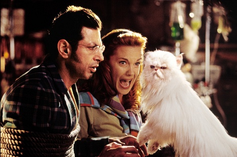 Elizabeth Perkins در صحنه فیلم سینمایی گربه ها و سگ ها به همراه جف گلدبلوم