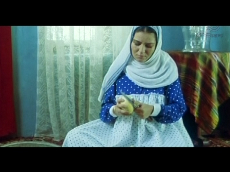 فیلم سینمایی متولد سینما به کارگردانی مهرشاد کارخانی