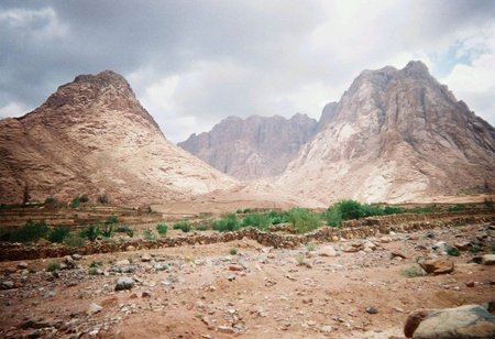  فیلم سینمایی The Rogue به کارگردانی 