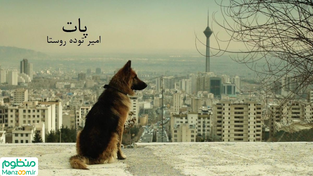  فیلم سینمایی پات به کارگردانی 