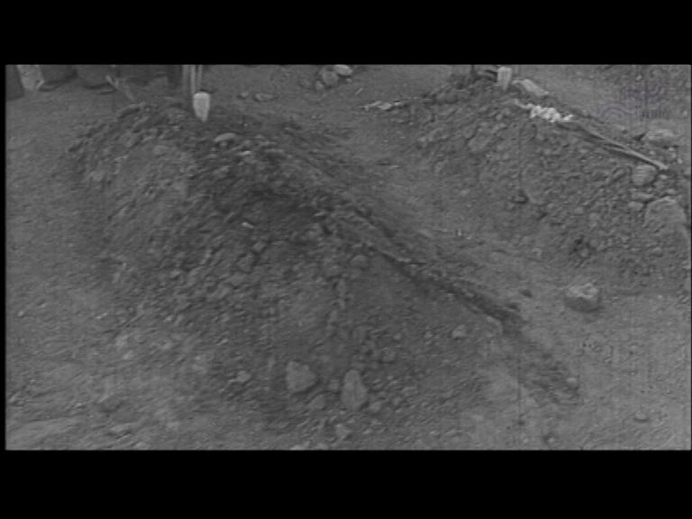  فیلم سینمایی قصه شب به کارگردانی عباس امینی