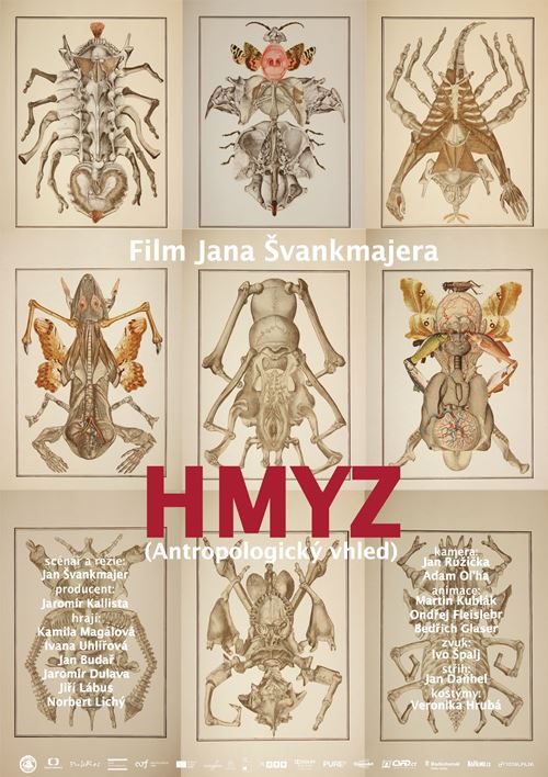  فیلم سینمایی Insects به کارگردانی Jan Svankmajer