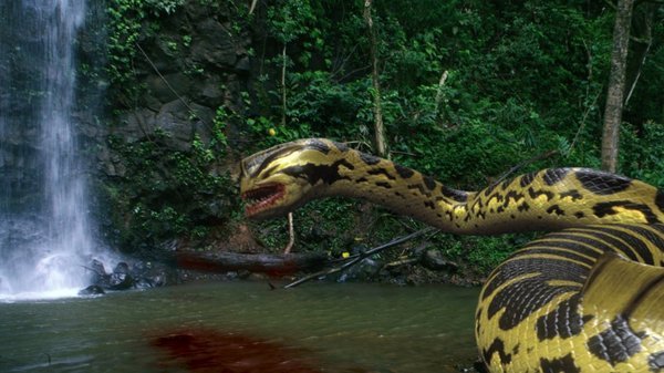  فیلم سینمایی Piranhaconda به کارگردانی Jim Wynorski