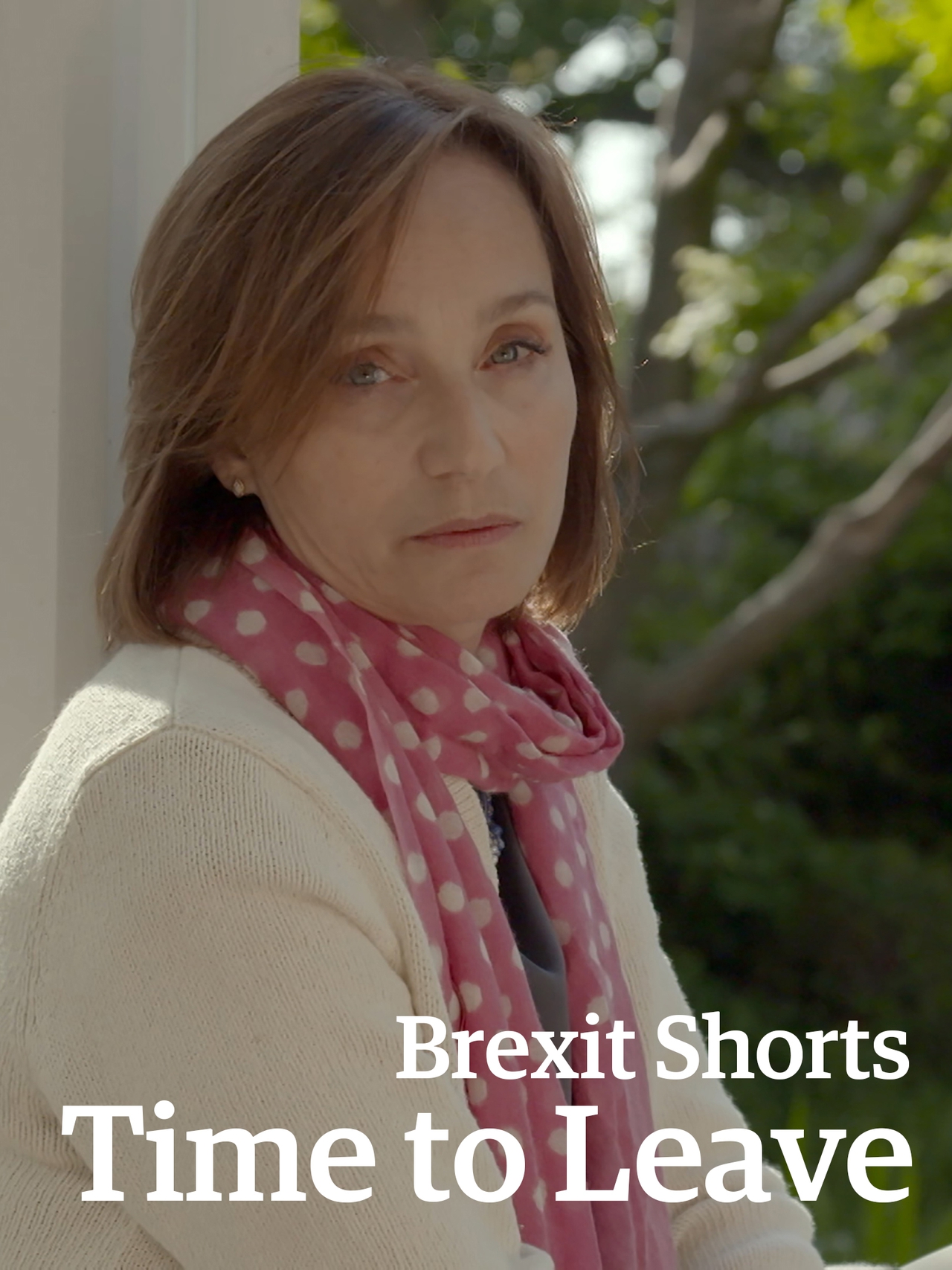  فیلم سینمایی Brexit Shorts: Time to Leave به کارگردانی Jeremy Herrin