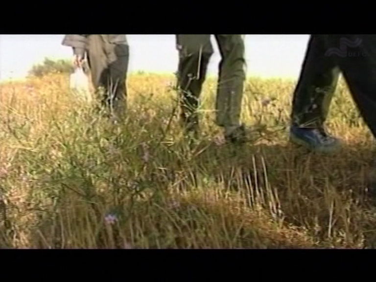  فیلم سینمایی فکه معبری به آسمان به کارگردانی محسن قیصری