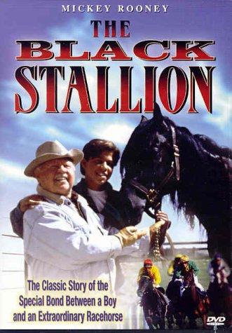  سریال تلویزیونی The New Adventures of the Black Stallion به کارگردانی Bill Corcoran و Paolo Barzman و Alan Simmonds و George Bloomfield و Peter D. Marshall و Mitchell Gabourie و Olivier Descamps و Christian Le Hémonet و Michel Tréguer و Emilio Pacull