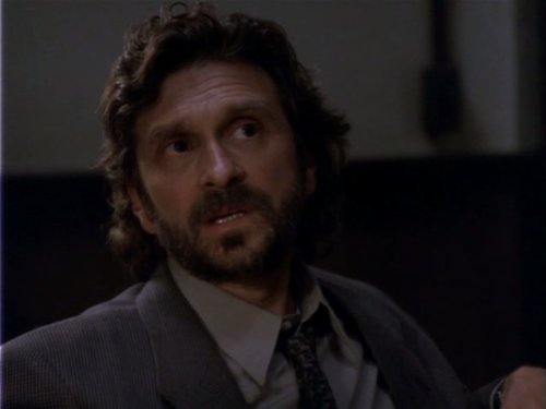 Dennis Boutsikaris در صحنه سریال تلویزیونی قانون و نظم: واحد قربانیان ویژه