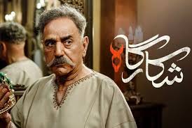  سریال شبکه نمایش خانگی شکارگاه به کارگردانی نیما جاویدی