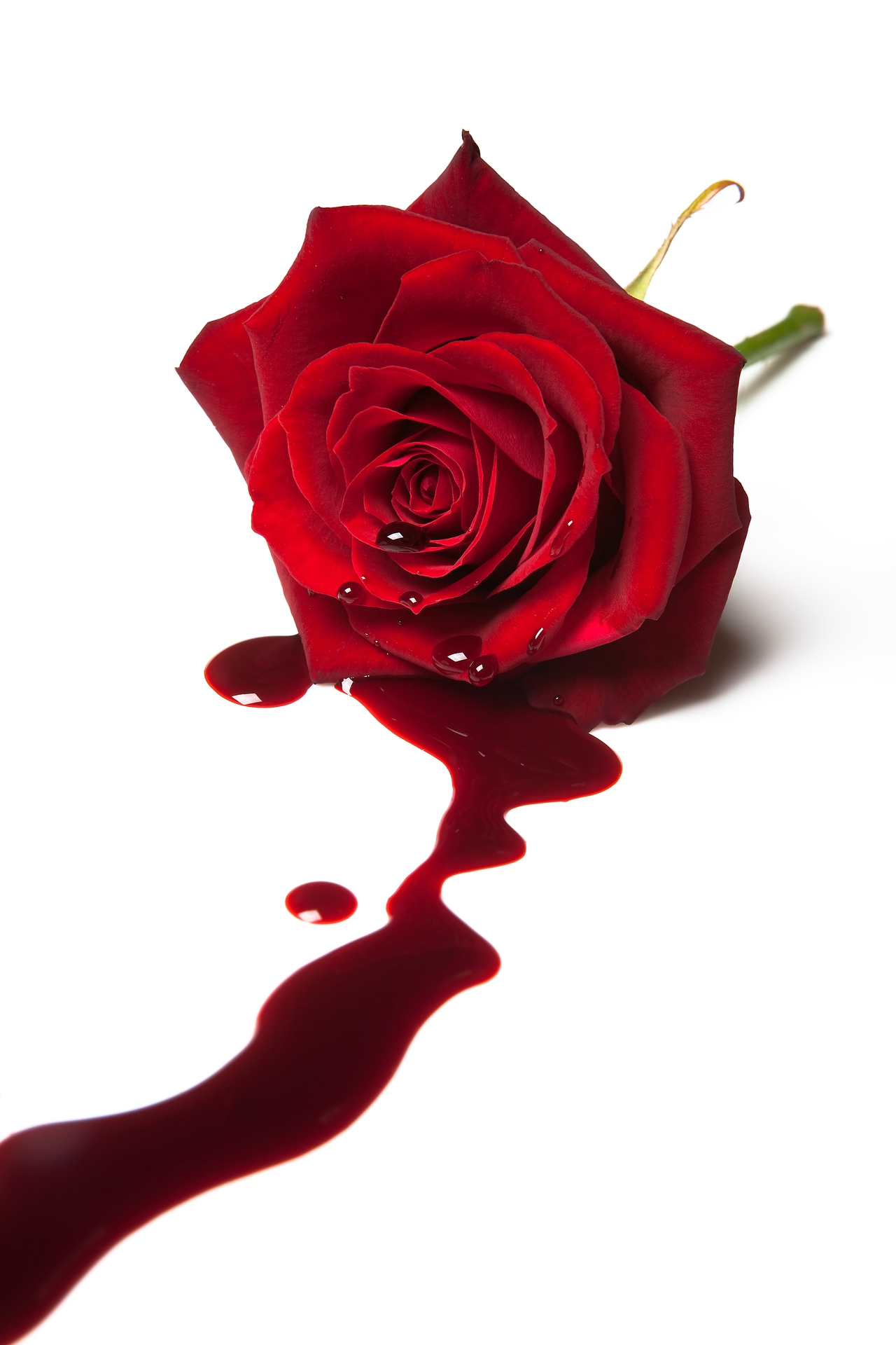  فیلم سینمایی The Poison Rose به کارگردانی George Gallo و Francesco Cinquemani و Luca Giliberto