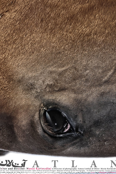 پوستر فیلم سینمایی آتلان به کارگردانی معین کریم‌الدینی