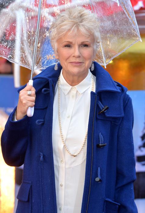 Julie Walters در صحنه فیلم سینمایی پدینگتون