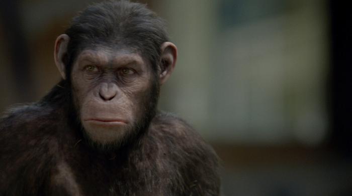  فیلم سینمایی ظهور سیاره میمون ها به کارگردانی Rupert Wyatt