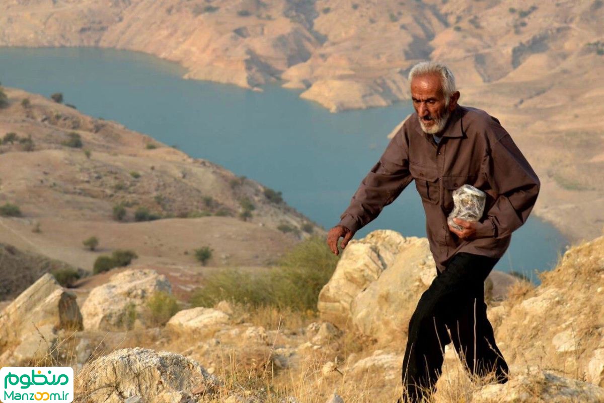  فیلم سینمایی ایرو به کارگردانی 