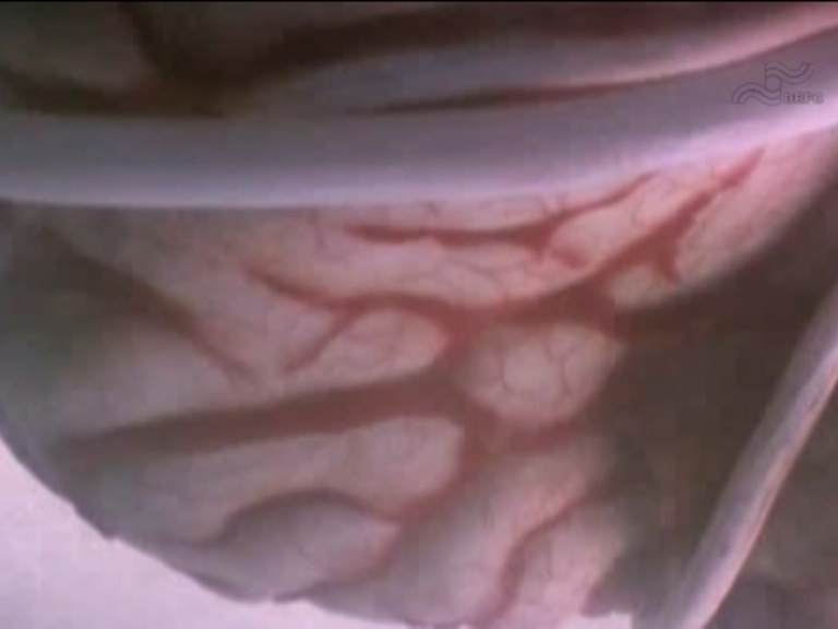  فیلم سینمایی گنج پنهان به کارگردانی یوسف جمادی