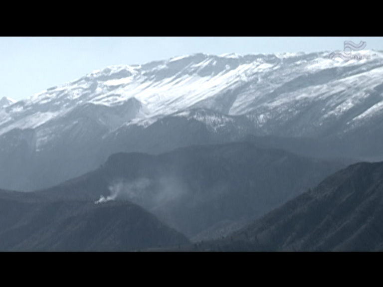  فیلم سینمایی مادرم بلوط به کارگردانی ندارد