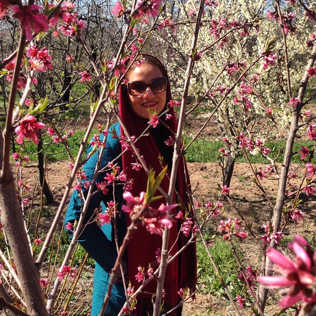 تصویری شخصی از شبنم مقدمی، بازیگر و کارشناس سینما و تلویزیون