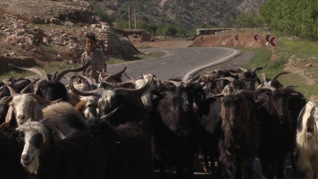  فیلم سینمایی بابا آمد به کارگردانی سیامک مختاری